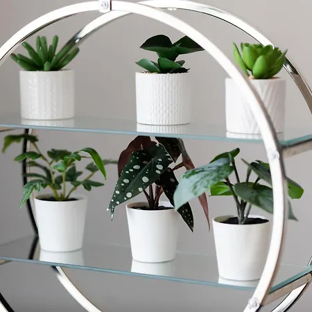 Wooden Bellottiego With Parking By Renters Lägenhet *