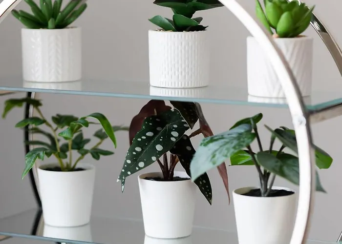 Wooden Bellottiego With Parking By Renters شقة *